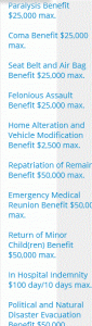 insuremytrip additional